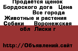 Продаётся щенок Бордоского дога › Цена ­ 37 000 - Все города Животные и растения » Собаки   . Воронежская обл.,Лиски г.